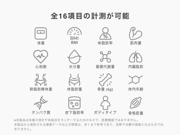 16項目のデータ
