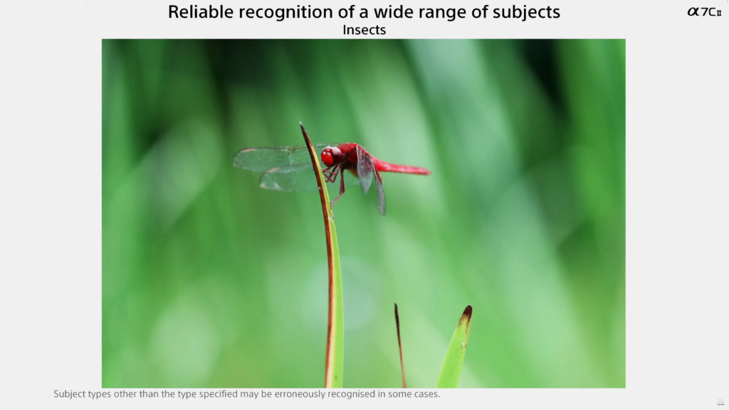 α7C Ⅱにはリアルタイム認識AFが搭載 昆虫も認識が可能に