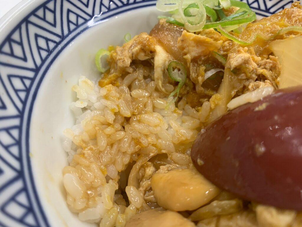 Yoshinoya_04