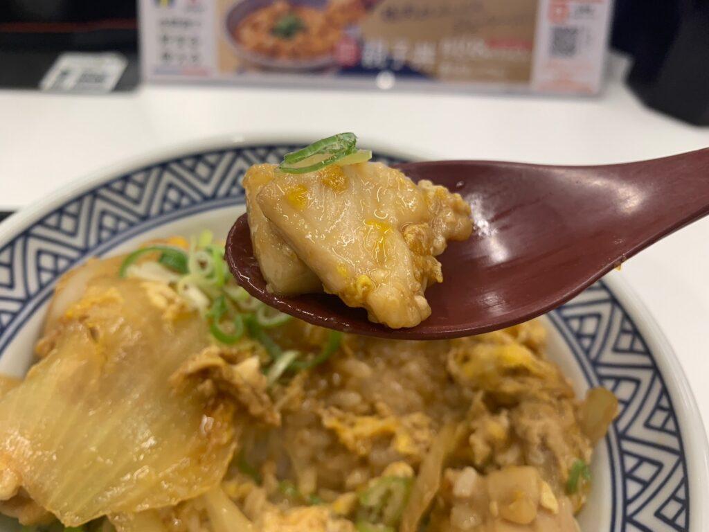 Yoshinoya_06