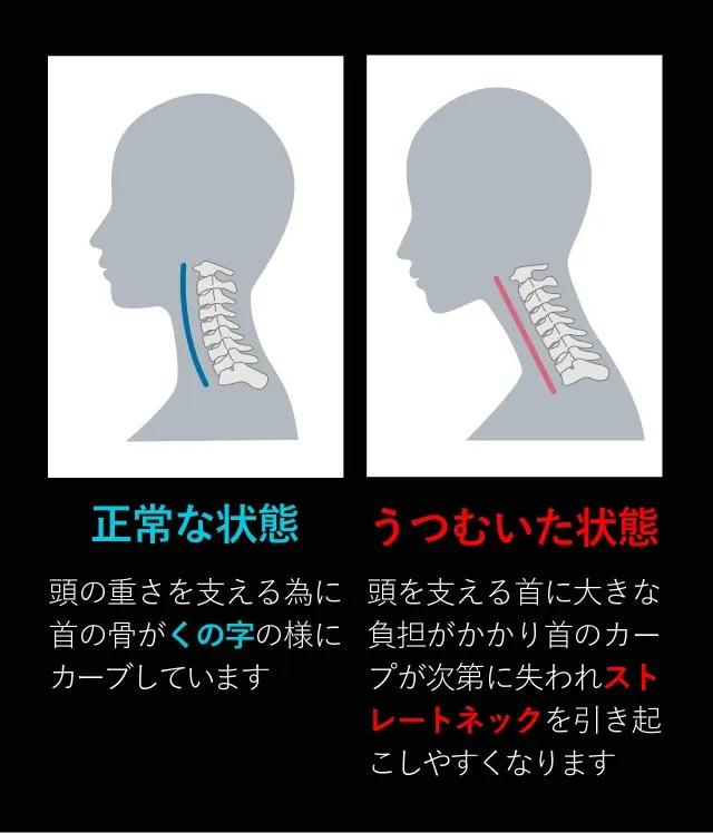 ヒツジのいらない枕ネックピロー2
