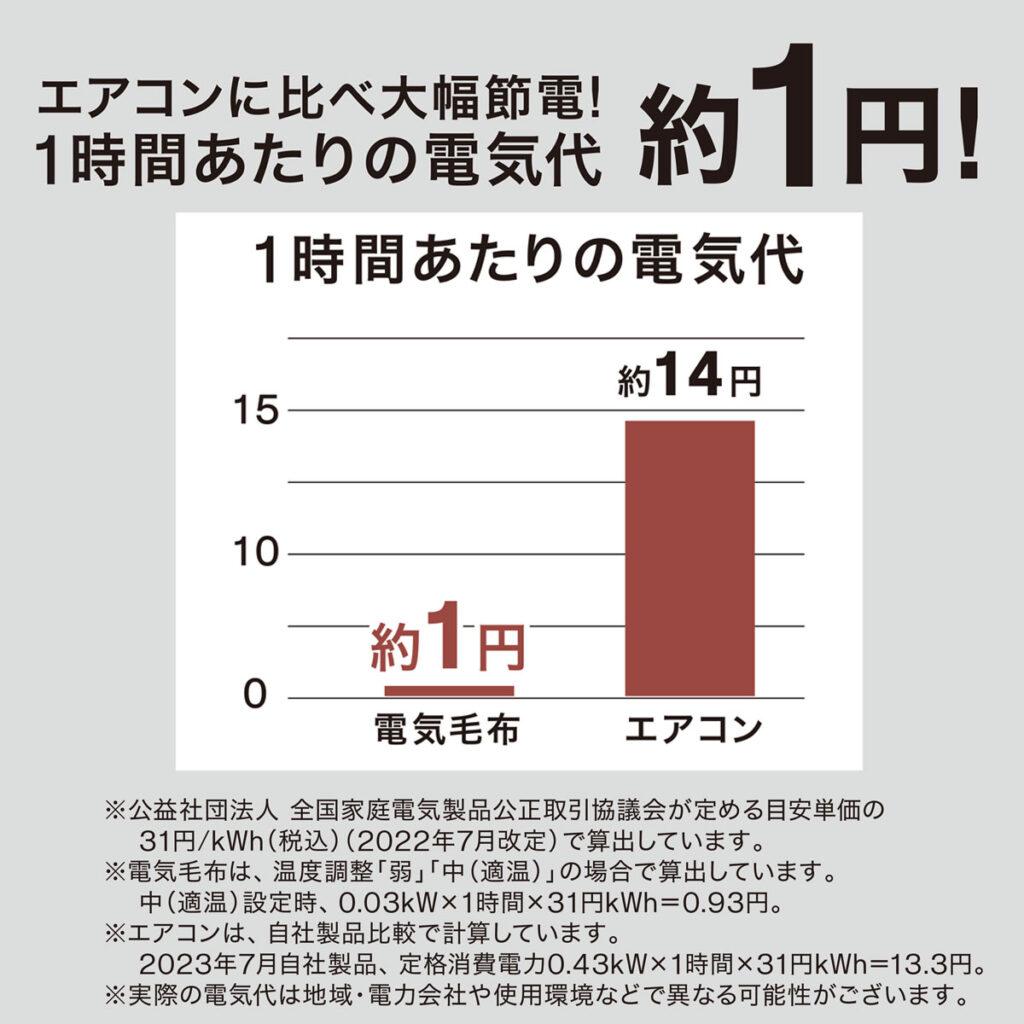 Nウォーム1