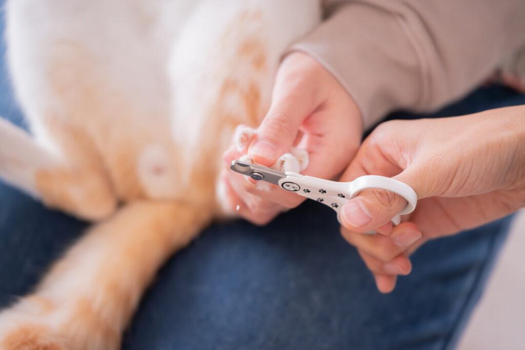 猫壱 ストレスなくスパッと切れる猫用爪切り