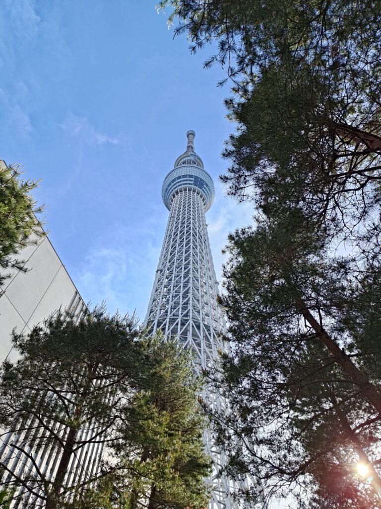 ROGPhone8-pic_maincamera-landmark
