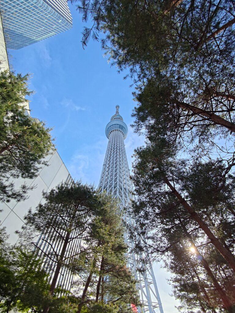 ROGPhone8-pic_wide-angle-landmark