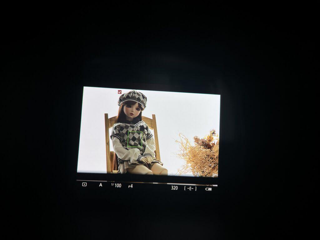 「Nikon Z6III」の新たなEVF、逆光下でもフォーカスを合わせればクッキリと
