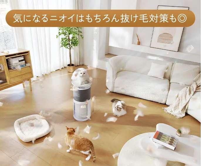 抜け毛対策にもなる