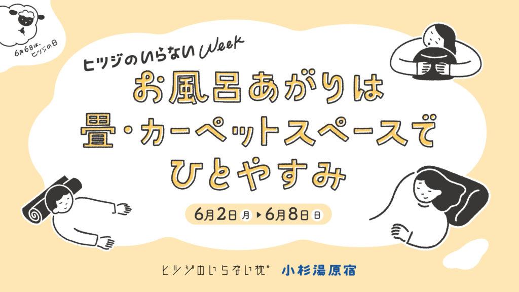sheep pillow event_00