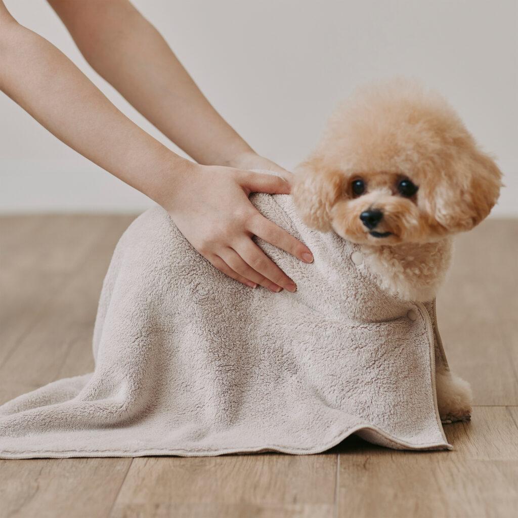 MUJI pet_01