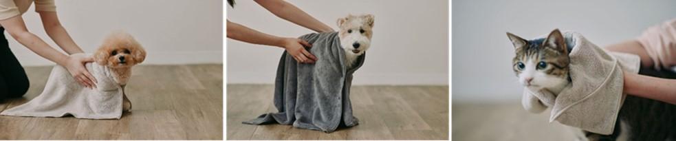 MUJI pet_04