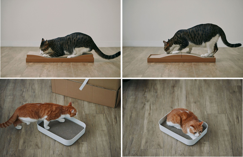 MUJI pet_06