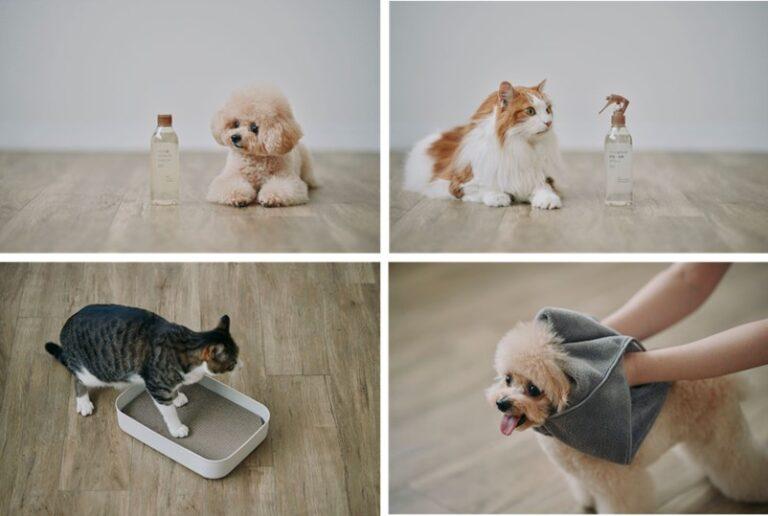 無印良品が犬猫向け本格ケア用品を発売。シャンプーや爪とぎなど日常に馴染むデザインの新ラインアップ