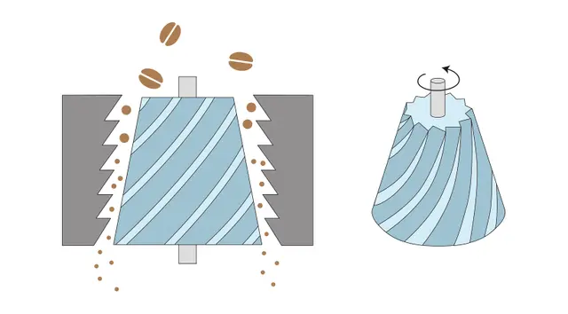 「電動コーヒーミル」コニカルカッターの構造