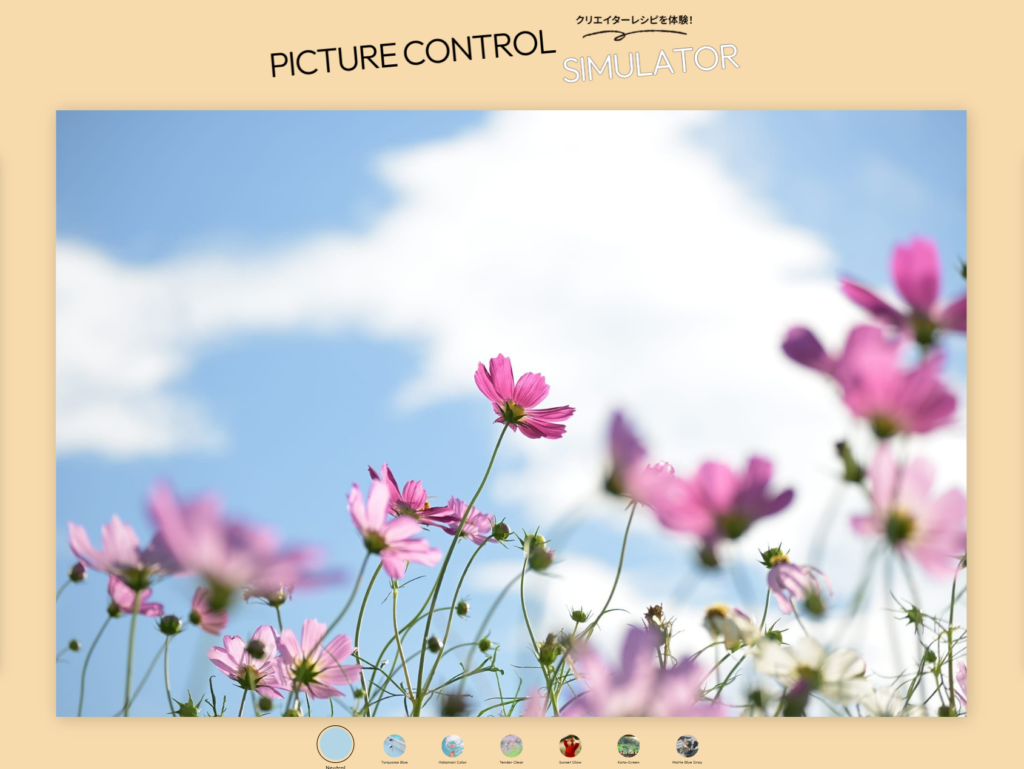 nikon_z50ii_picture-control1