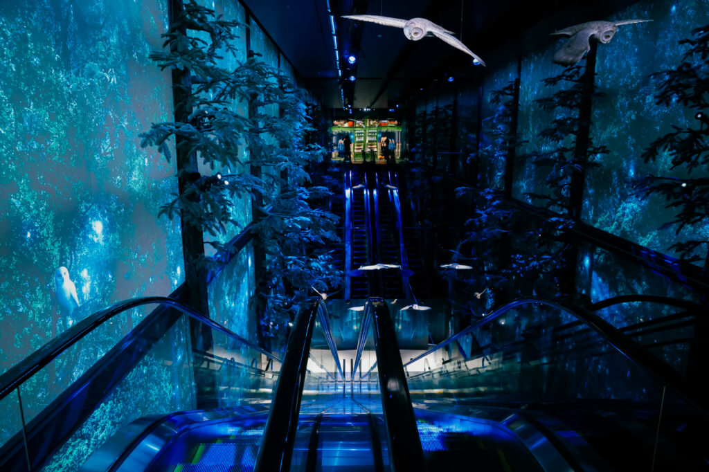 harripotter harajuku_03