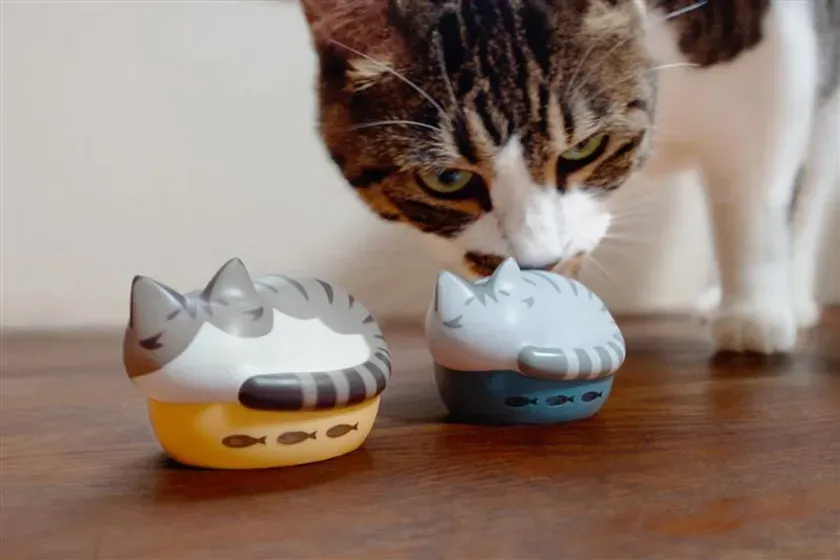 開発担当者の猫1