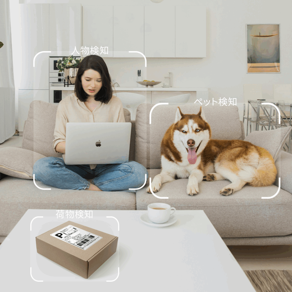 Dreame navo InCam 検知機能