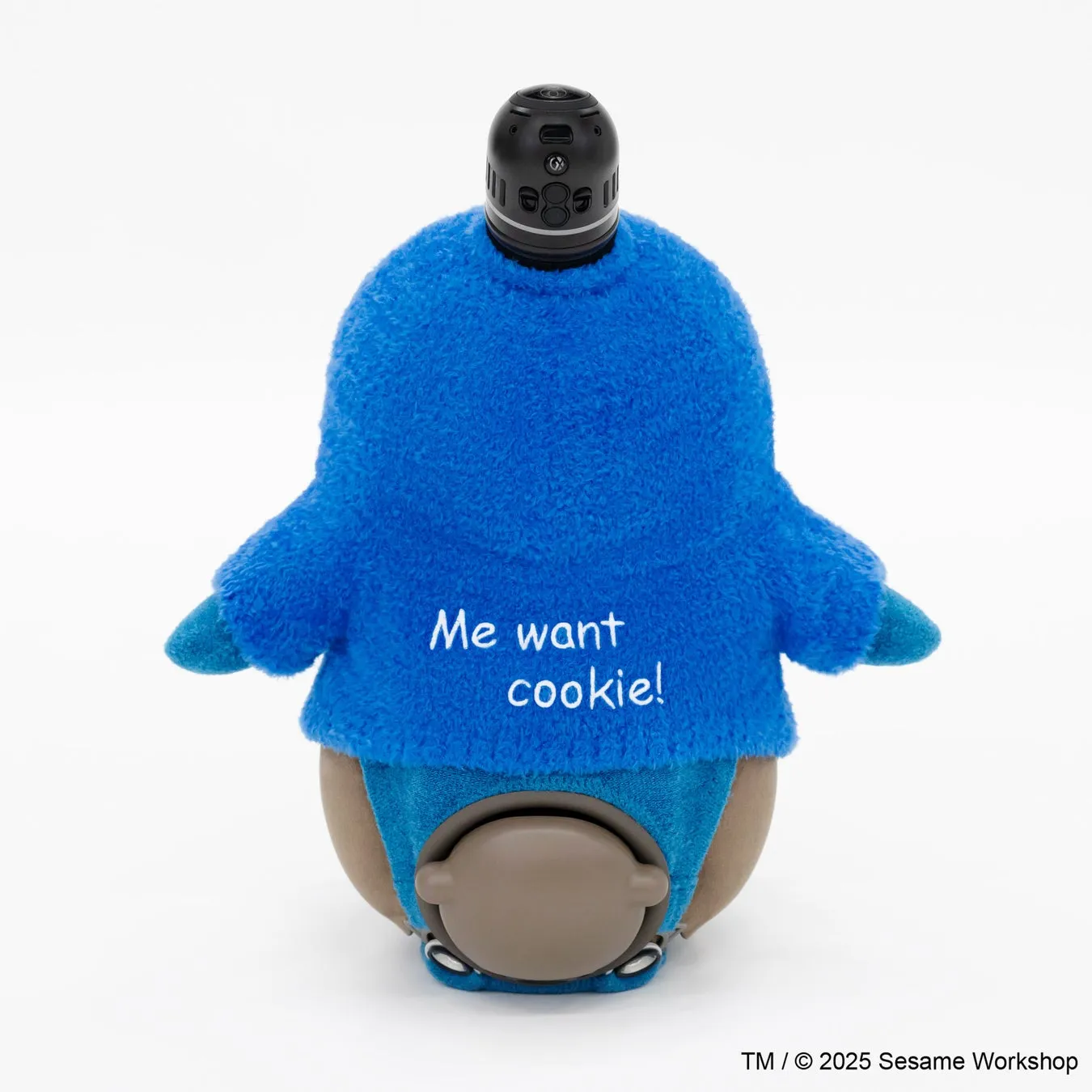青い服を着たキャラクターの後ろ姿。服には「Me want cookie!」と書かれており、頭には黒い部品が付いている。