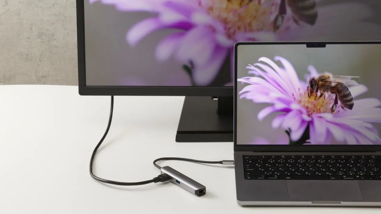 ノートパソコンとモニターが接続されており、ノートパソコンの画面には蜂が花に止まっている写真が表示されています。USBハブが接続されており、ノートパソコンとモニターを繋いでいます。